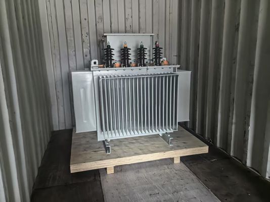 750 KVA A Isolatie klasse Olie ondergedompelde distributie transformator voor een soepele stroomverdeling